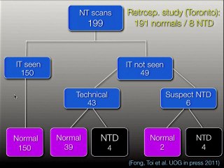 Le point sur le spina bifida : 1er trimestre : La clarté intra-cérébrale, ouverture sur le diagnostic précoce de spina bifida