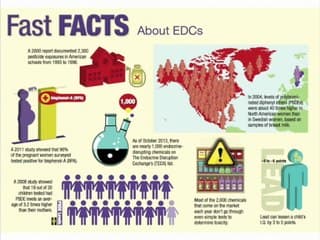 CONFÉRENCE 1 : ENVIRONNEMENT