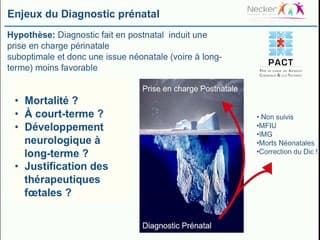 Est-ce que le diagnostic prénatal améliore le pronostic ?