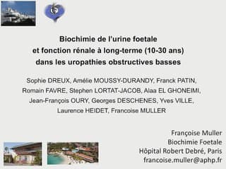 Corrélation biochimie de l’urine foetale et pronostic rénal à long terme (10-30 ans) dans les uropathies obstructives basses.