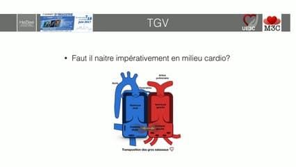 Coeur : Repérer et diagnostiquer les pathologies cardiaques qui nécessiteront une PEC en urgence à la naissance