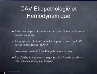 Le CAV canal atrioventriculaire