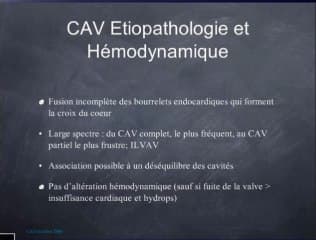 Le CAV canal atrioventriculaire