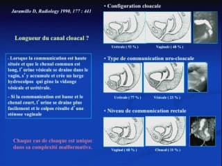 Vous avez dit cloaque?