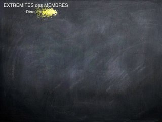 POSTER Extrémités
