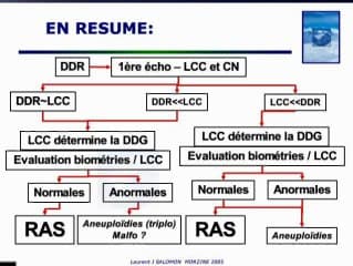 Echographie du 1er trimestre, jusqu'ou peut on aller : Vers une nouvelle biométrie ?
