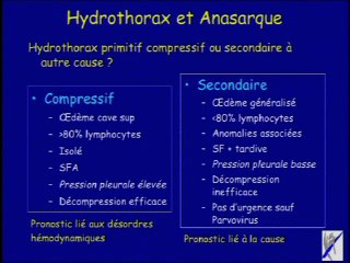 Anasarque non-immum :  En pratique, que doit-on retenir ?