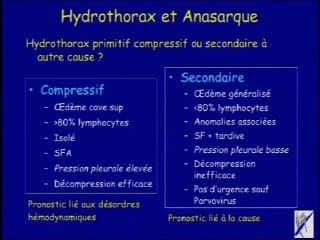Anasarque non-immum :  En pratique, que doit-on retenir ?