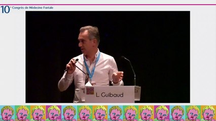 Le cerveau foetal