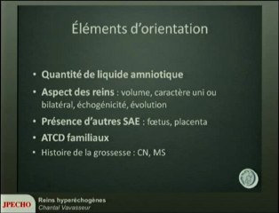 Reins hyperéchogènes