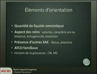 Reins hyperéchogènes