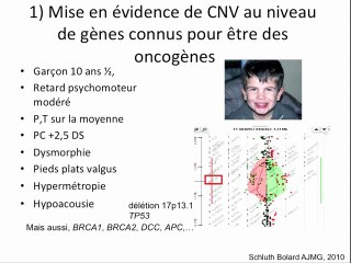 CGH Array en prénatal : état de la question, de la recherche à la clinique