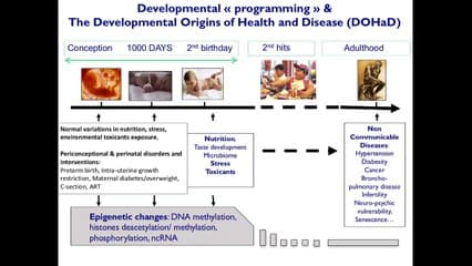 retard de croissance intra utérin :  devenir à long terme