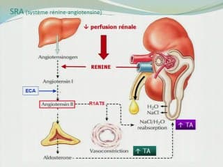 Quand les reins foetaux sont petits.