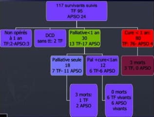 Les dossiers des cardio-pédiatres : des signes d’appel à l’analyse des images