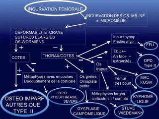 Démarche devant la découverte d’os longs incurvés