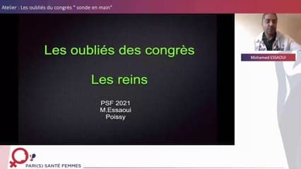 Atelier les oubliés des congrès: Les reins