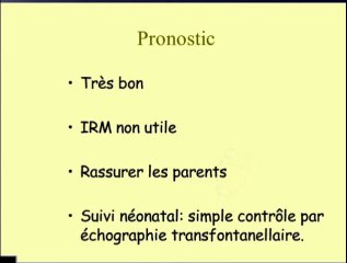 Citerne circum mésencéphalique