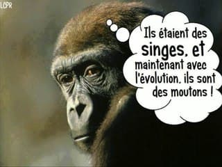 6 Développement d’un nouveau ballon pour la prise en charge prénatale de la hernie diaphragmatique : premiers tests animaux.