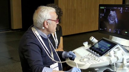 Live examen standart du cerveau foetal