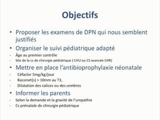 39 Une année d’uropathies dilatées au CPDPN du CHU de Poitiers
