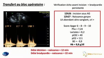 « T.S « Fœtale (ou Tentative d’autolyse fœtale)