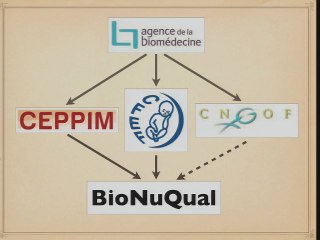 Bilan des nouvelles stratégies du dépistage de la trisomie 21