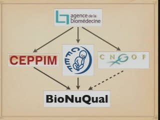 Bilan des nouvelles stratégies du dépistage de la trisomie 21