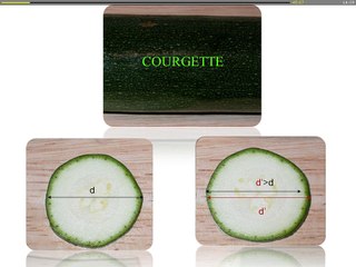 Une boite à outils pour une analyse structurée d’une ventriculomégalie «isolée»