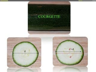 Une boite à outils pour une analyse structurée d’une ventriculomégalie «isolée»