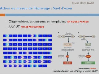 La myopathie de Duchenne