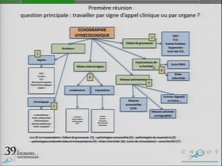 Directives proposées par le CNGOF