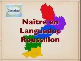 Le dépistage avancé non invasif de la trisomie 21 foetale L'état des lieux du dépistage prénatal de la trisomie 21 en France