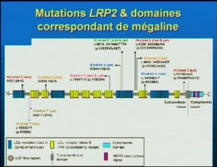 Le syndrome de DONNAI-BARROW.