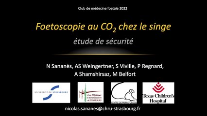 Foetoscopie au CO2 chez le primate. Etude de se?curité