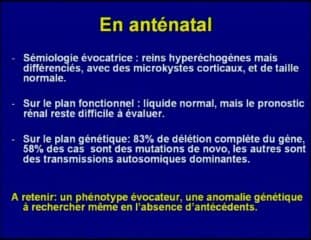 Rein hyperéchogène de taille normale