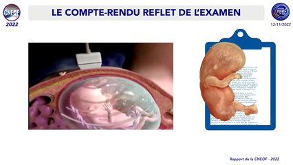 Le rapport de la CNEOF 2022