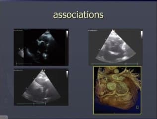 Les dossiers des cardio-pédiatres : des signes d’appel à l’analyse des images