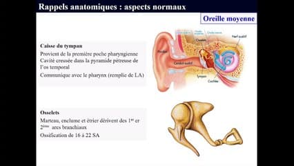 Le rocher : le scanner et l'IRM sont -ils utiles ?