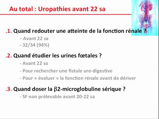 Quand redouter une atteinte de la fonction rénale ? Quand étudier les urines foetales ? Quand doser la ß2 microglobuline plasmatique ?
