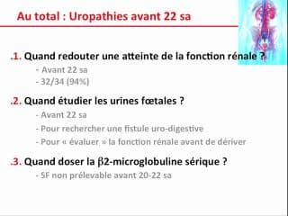 Quand redouter une atteinte de la fonction rénale ? Quand étudier les urines foetales ? Quand doser la ß2 microglobuline plasmatique ?