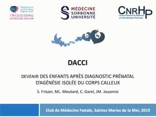 Avancement de l’étude DACCI