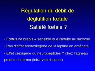 Oralité foetale