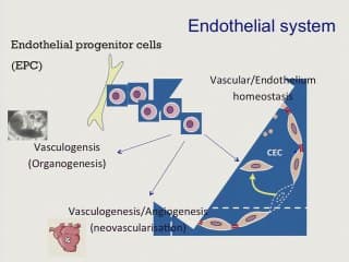 Suivi clinique et devenir des très grands retards de croissance et des macrosomes.