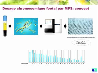 ADN foetal et sang maternel
