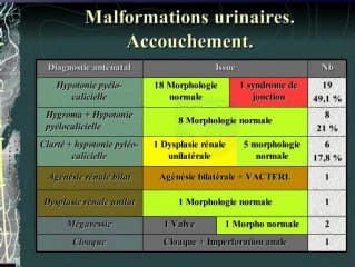 Echographie du 1er trimestre, jusqu'ou peut on aller : Devenir des malformations dépistées au 1er trimestre