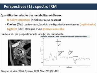 PAG et RCIU Pronostic neurologique du RCIU : apport de l'échographie et de l?IRM