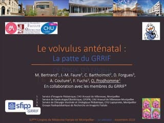 Volvulus anténatal : la patte du GRRIF