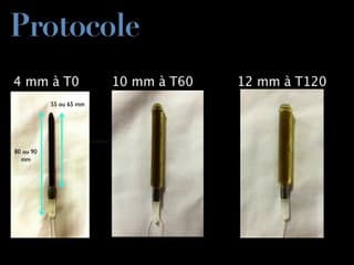 la lumière des laminaires
