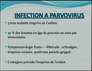 Anémie à parvovirus